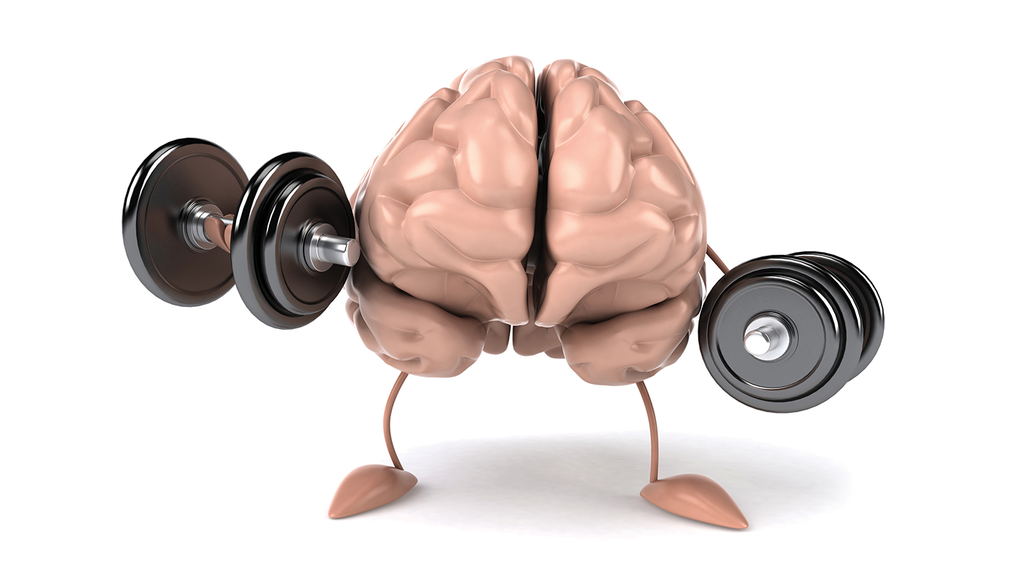 brain weights