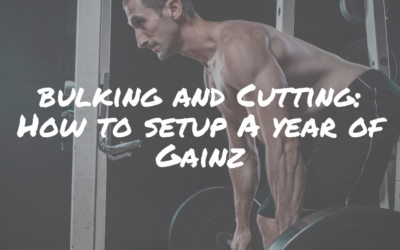 Bulking and Cutting: How to Setup a Year of Gainz