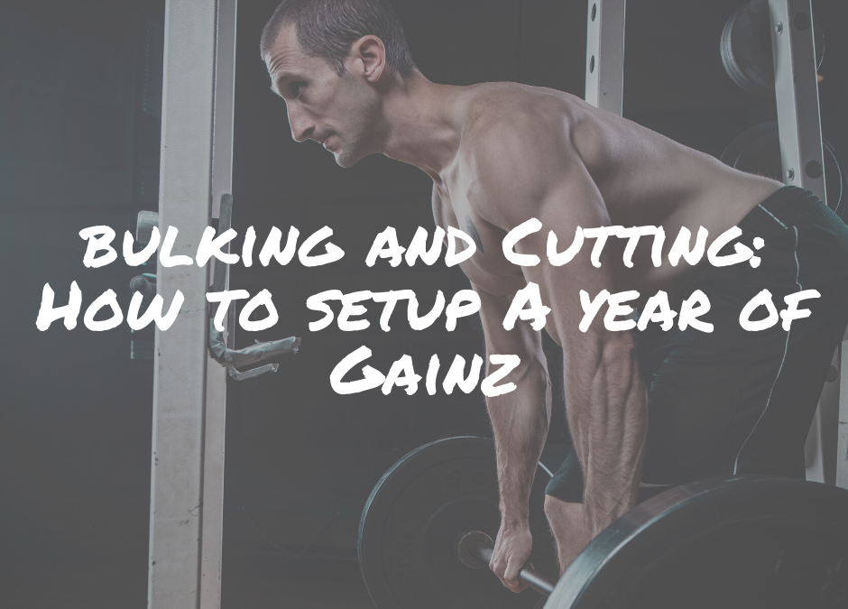 Bulking and Cutting: How to Setup a Year of Gainz