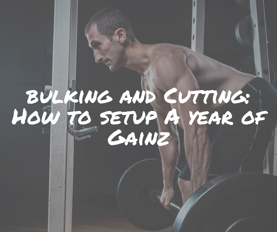 Bulking vs Cutting: Which to Start With & How To - SET FOR SET